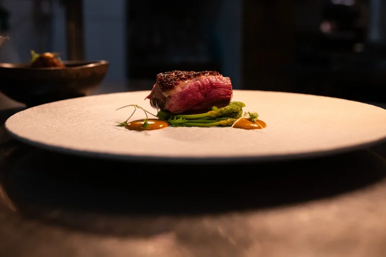 Pièce de viande rosée et purée verte sur une assiette blanche